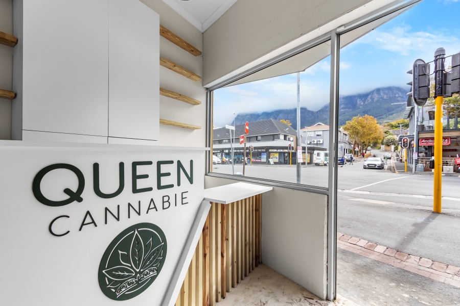 To Let commercial Property for Rent in Rondebosch Western Cape